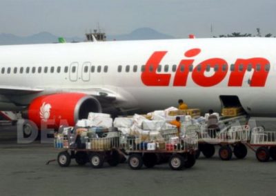 Lion Parcel